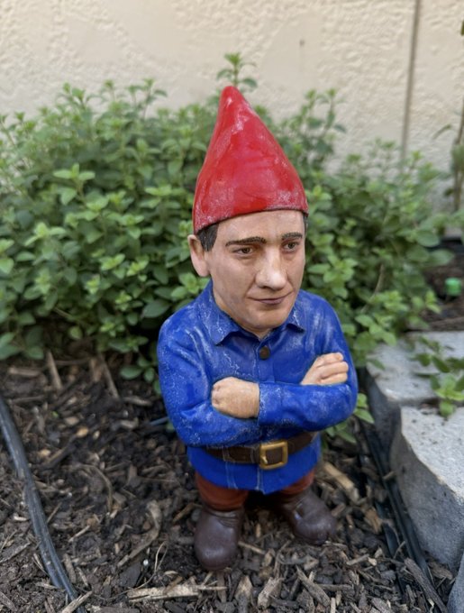 A small garden gnome statue with a red pointed hat, blue shirt, folded arms, brown belt, and boots stands in soil beside shrubs.