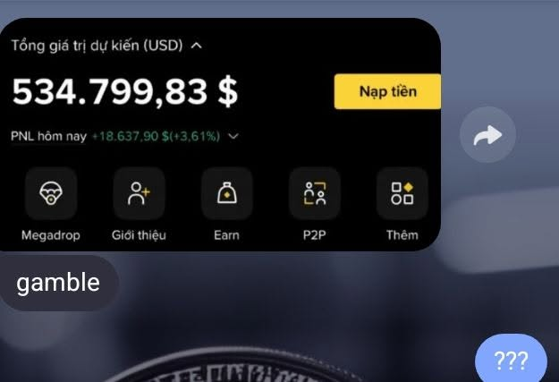 A cryptocurrency app interface showing a total portfolio value of $534,799.83 USD, with a daily profit/loss of +$18,637.90 (+3.61%) and menu options including Megadrop, Referral, Earn, P2P, and More.