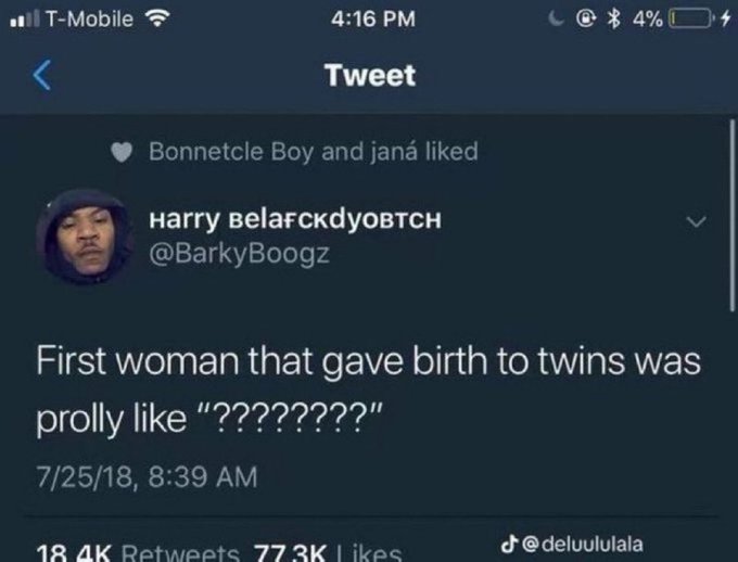 A tweet by @BarkyBoogz reading 'First woman that gave birth to twins was prolly like "???????"'.