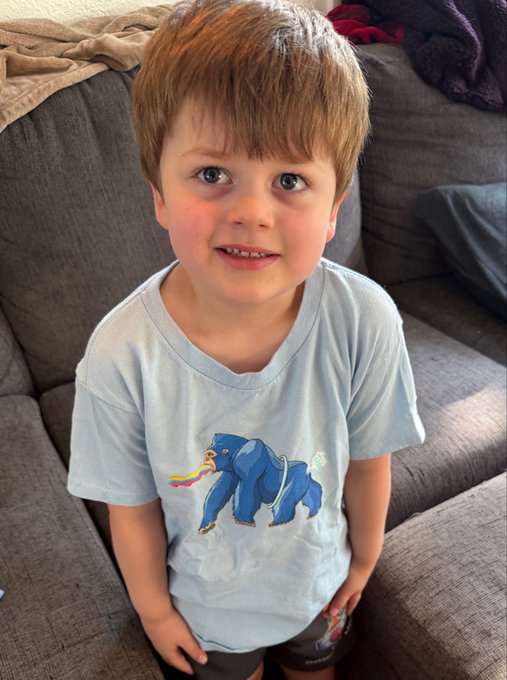 Young boy with brown hair wearing a light blue t-shirt featuring a colorful graphic design, standing in front of a gray couch.