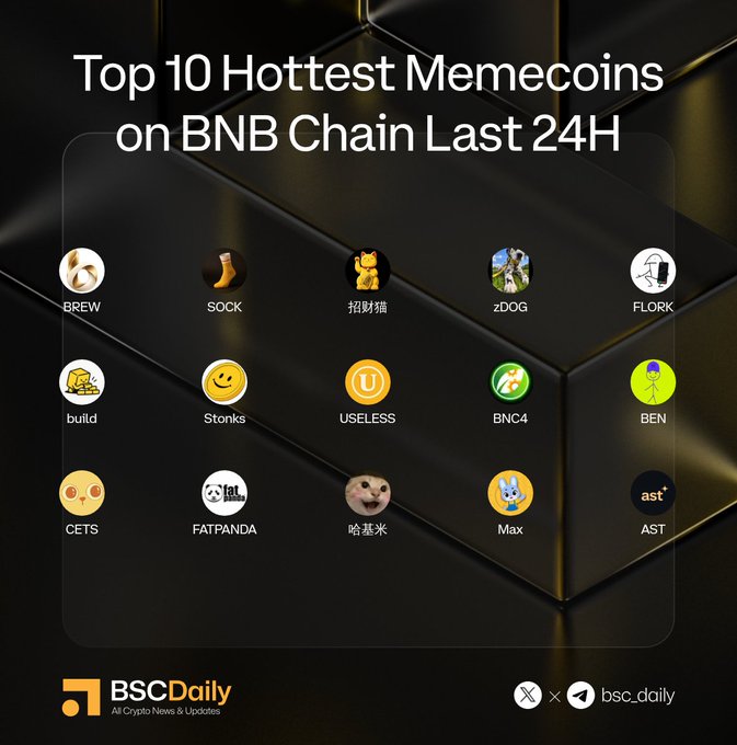 An infographic titled 'Top 10 Hottest Memecoins on BNB Chain Last 24H' from BSCDaily lists tokens including BREW, SOCK, zDOG, FLORK, build, Stonks, USELESS, BNC4, BEN, CETS, FATPANDA, Max, and AST.