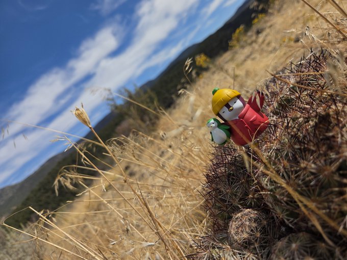 A small toy figurine wearing a yellow hat and red coat stands on dry grass among tumbleweeds with mountains and a blue sky in the background.