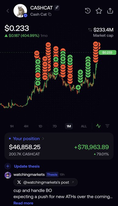 A Robinhood trading chart shows CASHCAT priced at $0.233 with a $233.4M market cap, surging 404.99% in the past month as the user's $46,858.25 position (200.7K CASHCAT) sits on a +$78,963.89 (79.01%) gain. The image illustrates the post's point about meme coins delivering parabolic asymmetric gains on small capital, with the cash-tagged cat token embodying the explosive upside story being made accessible to new traders via Robinhood Chain.