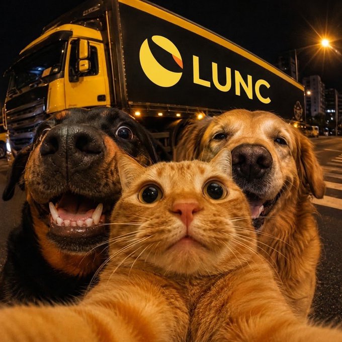 A Rottweiler, a Golden Retriever, and an orange tabby cat pose together in front of a yellow and black truck branded "LUNC," tying in with the $LUNC crypto ticker. The animals appear to be part of a promotional or meme-style image for the Terra Luna Classic cryptocurrency project.