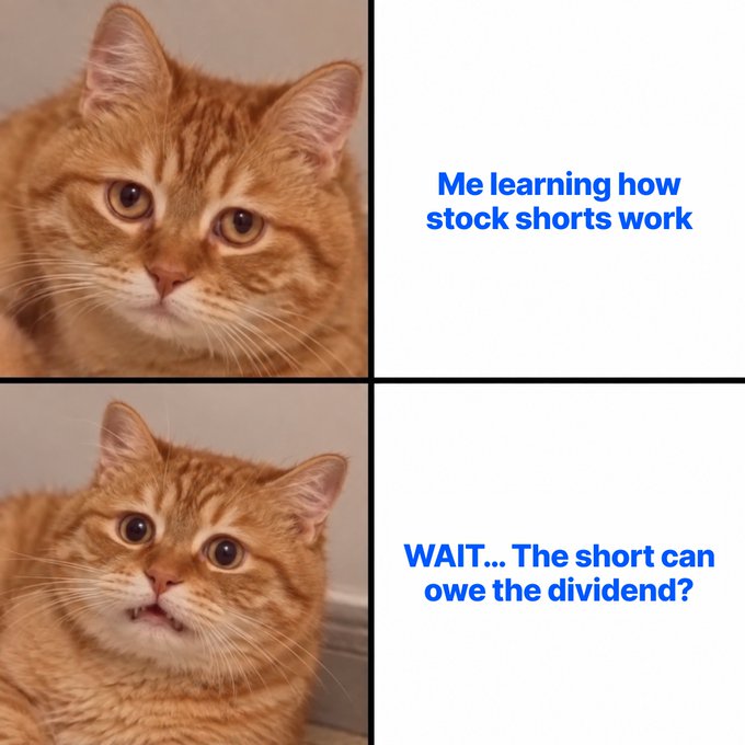 A two-panel meme featuring an orange tabby cat: the top panel shows the cat with a calm, neutral expression beside the text "Me learning how stock shorts work," while the bottom panel shows the same cat with a shocked, wide-eyed expression beside the text "WAIT... The short can owe the dividend?"—humorously illustrating the post's point about a crypto-savvy investor discovering that shorting dividend-paying stocks carries the obligation to pay equivalent dividends to the lender.