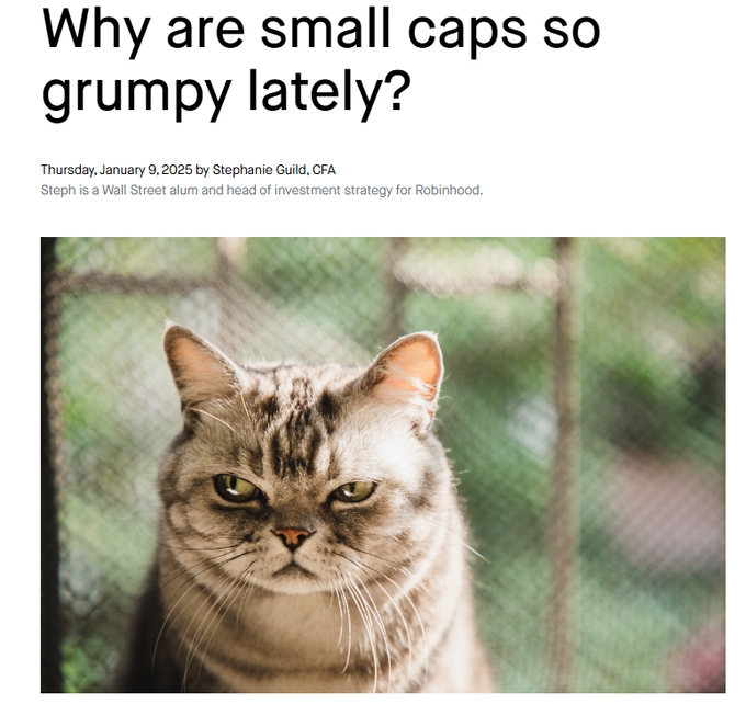 A Robinhood article titled "Why are small caps so grumpy lately?" by Stephanie Guild, dated January 9, 2025, features a close-up photo of a grumpy-looking tabby cat, fittingly illustrating the post's meme pairing of Grumpy Cat as Robinhood's "real cat" alongside their Cashcat mascot.