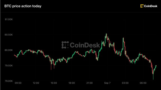 A CoinDesk chart showing BTC price action for the day, with Bitcoin trading around $79,000-$80,500K, displaying red and green candles over a 24-hour period.