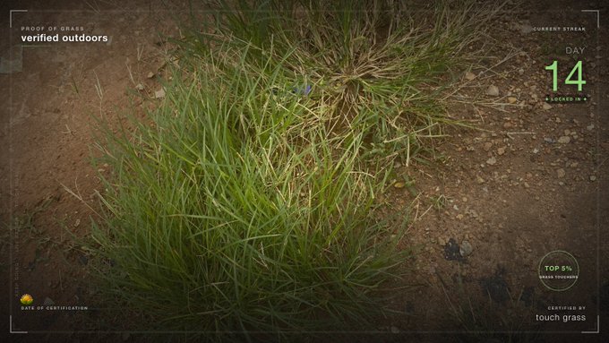 A close-up photograph of a clump of grass growing in dirt, presented like a stream overlay with text reading 'PROOF OF GRASS verified outdoors', 'DAY 14 I LOCKED IN', and 'CERTIFIED BY touch grass'.