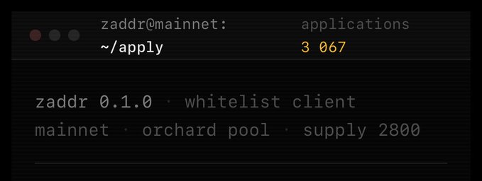 A terminal-style screen showing 'zaddr@mainnet: ~/apply' with '3 067 applications' and details reading 'zaddr 0.1.0 · whitelist client' and 'mainnet · orchard pool · supply 2800'.