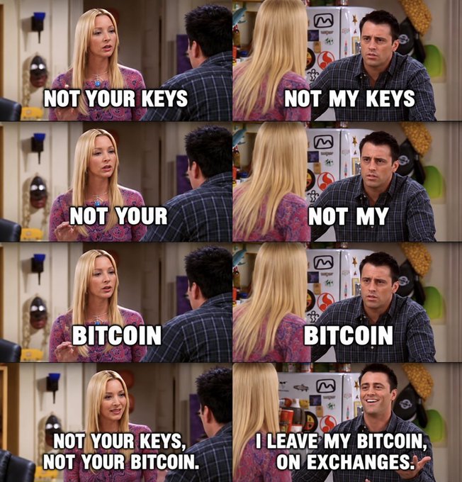A 'Friends' TV show meme contrasting 'Not your keys, not your Bitcoin' (represented by Phoebe) with 'I leave my Bitcoin on exchanges' (represented by Chandler).