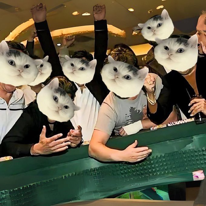 A group of people celebrating with raised arms have had their faces humorously replaced with cat faces, fitting the meme-style "mark my meow" reference in the post about an upcoming crypto pump. The accompanying contract address "5uqf5kAFH1b9XzQs3QsZjczs4pERxr7dJ5FM4Bznpump" reinforces the bullish "moon mission" sentiment being mocked.