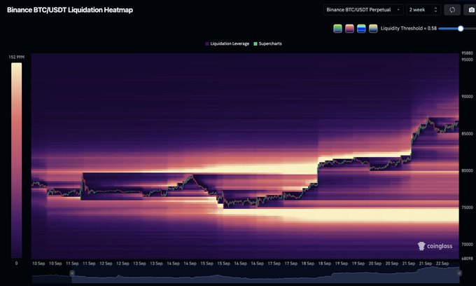 A Binance BTC/USDT Perpetual Liquidation Heatmap from Coinglass showing a 2-week price chart between approximately 79,000 and 95,880 USD with liquidity leverage levels visualized in purple and orange.