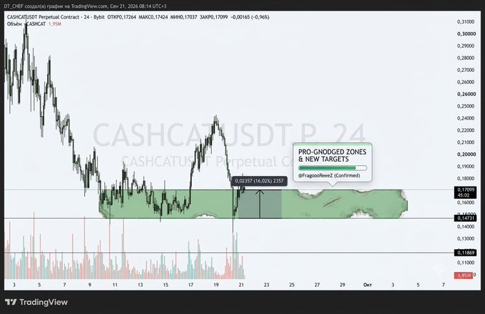 A TradingView chart of CASHCAT/USDT Perpetual Contract on a 24-hour timeframe, showing a downtrend with a highlighted green 'PRO-GNODGED ZONES & NEW TARGETS' box and annotation reading '0.02357 (16.02%) 2357'.