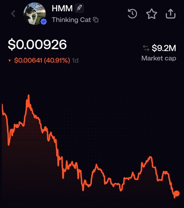 A cryptocurrency chart for "$HMM" (Thinking Cat) shows a price of $0.00926 with a market cap of $9.2M, down 40.91% ($0.00641) over 1 day, depicting a steep downtrend that visually reflects the poster's defiant stance of holding their $HMM bag despite significant drawdowns.