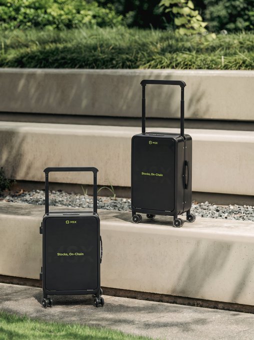 Two black carry-on suitcases branded 'HEX' with 'Stocks, On-Chain' text sit on concrete steps outdoors.