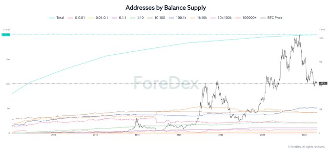 A chart titled "Addresses by Balance Supply" displaying Bitcoin address distribution across various balance tiers (0-0.01, 0.01-0.1, 0.1-1, 1-10, 10-100, 100-1k, 1k-10k, 10k-100k, 100000+) alongside BTC price from 2018 to 2025, sourced from ForeDex. The chart visually supports the post's analysis by showing how address accumulation patterns across different balance ranges correlate with identifying key Bitcoin support zones around $60,000-$63,000.