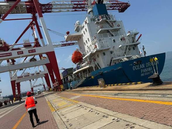 A large cargo ship named "OCEAN DRAGON" from Panama (IMO 9503676) docked at a port under red cranes, with workers in safety vests walking along the pier.