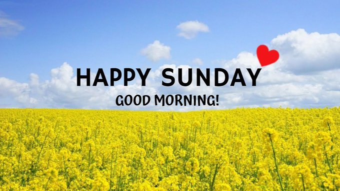 A cheerful greeting card showing a bright yellow field of flowers under a blue cloudy sky with a red heart, displaying the text 'HAPPY SUNDAY GOOD MORNING!'.