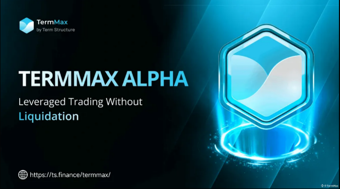 Promotional banner for TermMax Alpha, describing it as 'Leveraged Trading Without Liquidation' with the URL https://ts.finance/termmax/ and a hexagonal logo.
