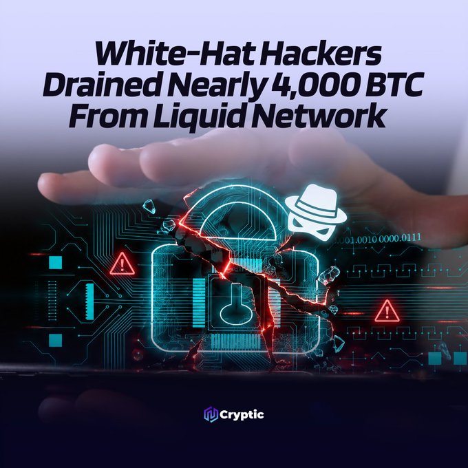 A graphic from Cryptic featuring a digital lock and white-hat hacker icon overlaid on a hand, accompanied by the headline "White-Hat Hackers Drained Nearly 4,000 BTC From Liquid Network," visually reinforcing the news of the $320 million Bitcoin withdrawal from the Liquid Federation wallet by self-identified ethical hackers.