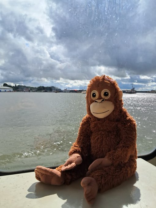 A brown plush monkey toy sitting on a ledge by the water, with a cloudy sky and ships visible in the background.