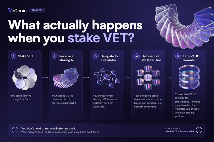 The image is a VeChain infographic titled "What actually happens when you stake VET?" that visually breaks down the 5-step staking process: (1) Stake VET through StarGate, (2) receive a Stargate staking NFT, (3) delegate to a VeChainThor's 101 validators, (4) help secure VeChainThor, and (5) earn VTHO rewards—directly illustrating the post's explanation with the note "You don't need to run a validator yourself."