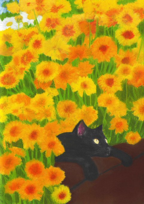 A black cat with glowing yellow eyes lounges on a ledge surrounded by a vibrant field of orange and yellow flowers, evoking a warm summer atmosphere. This aligns with the post's "Summer mood" theme, showcasing the NFT artwork's 13/15 edition available on objkt.com for 0.5 XTZ.