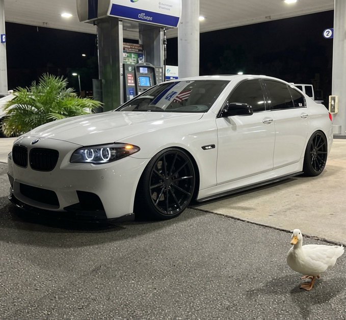 A white BMW sedan parked at a gas station at night, with a white duck standing in the foreground on the pavement.