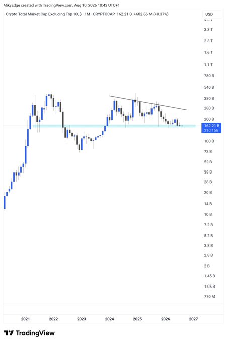 A TradingView chart titled "Crypto Total Market Cap Excluding Top 10" (CRYPTOCAP) on a monthly timeframe shows the metric at 162.21B, hovering near a key horizontal support zone around the 150B level after a long downtrend from its 2024 highs. The chart visually supports the post's bullish sentiment, suggesting that altcoins are at a major historical support level—a point where bearish bets have historically proven costly.