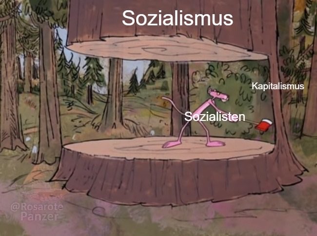 The image is a Pink Panther meme showing the character hidden under a tree stump labeled "Sozialismus" (Socialism), holding a hammer and a red object representing "Kapitalismus" (Capitalism), while being labeled "Sozialisten" (Socialists). The caption "Lord, forgive them, for they know not what they do" aligns with the meme's ironic portrayal of socialists pretending to uphold socialism while secretly clinging to capitalism.