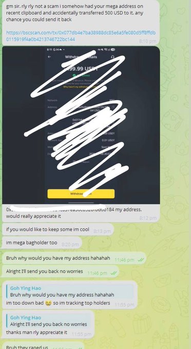 The image shows a Telegram chat where a user ("Goh Ying Hao") reveals they accidentally received 500 USDT from another user who was monitoring their wallet to track top holders of MEGA. The sender had messaged asking for it back, but the recipient jokes about keeping it cool as a "mega bagholder" before ultimately agreeing to return the funds.