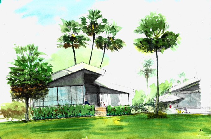 A watercolor and ink architectural sketch of a modern house surrounded by tall palm trees and a green lawn.