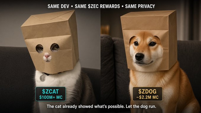 A promotional image for crypto tokens showing a cat and dog wearing paper bags on their heads, comparing '$ZCAT' ($100M+ MC) and '$ZDOG' (~$2.2M MC) with text 'The cat already showed what's possible. Let the dog run.'