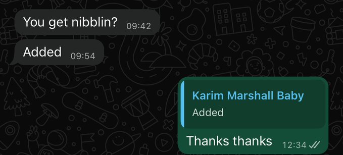 A chat screenshot shows a conversation about "nibblin" at 09:42, with a message noting "Karim Marshall Baby" was "Added" at 12:34, accompanied by "Thanks thanks ✓✓." This reflects the post's gratitude toward @KarimMarshall0x for help in minting @NibblinsHQ.