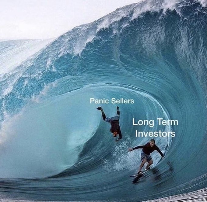 A meme showing a large wave with two surfers; one labeled 'Panic Sellers' is tumbling headfirst into the wave, while the other labeled 'Long Term Investors' is riding the wave successfully.