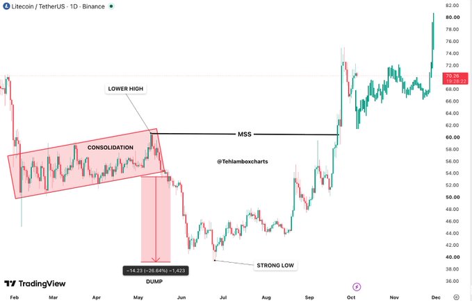 A TradingView candlestick chart of Litecoin/TetherUS (LTCUSDT) on the daily timeframe highlights a six-month consolidation range that ended with a lower high, followed by a sharp -26.64% dump and a subsequent MSS (market structure shift) breakout to a new high near $80. Key annotations include "LOWER HIGH," "CONSOLIDATION," "MSS," "DUMP -14.23% (-26.64%) +1.423," and "STRONG LOW," aligning with the claim that the asset broke out from a 6-month range targeting $80.