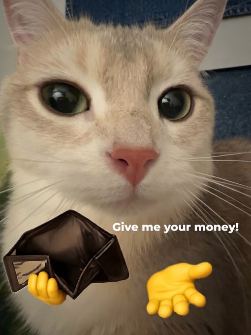 A meme showing a close-up of a cream-colored cat with wide eyes, accompanied by a cartoon wallet, pointing hand emojis, and the text 'Give me your money!'.