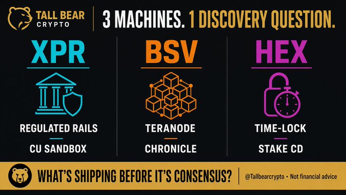 An infographic titled '3 MACHINES. 1 DISCOVERY QUESTION.' comparing three cryptocurrencies: XPR (Regulated Rails), BSV (Teranode), and HEX (Time-Lock), branded with 'Tall Bear Crypto'.