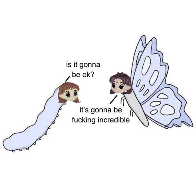A caterpillar asks "is it gonna be ok?" while a butterfly responds "it's gonna be fucking incredible," illustrating the post's advice to hold positions through volatility for greater long-term gains.