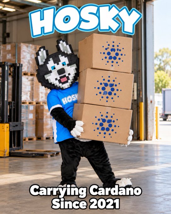 A person in a husky mascot costume holds cardboard boxes stamped with the Cardano logo, captioned 'HOSKY Carrying Cardano Since 2021'.