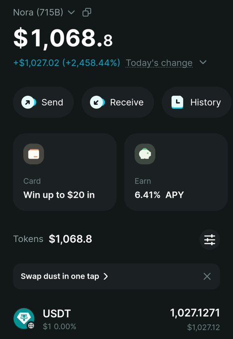 A cryptocurrency wallet app screenshot showing a portfolio value of $1,068.8 for 'Nora (715B)' with a +2,458.44% daily change, displaying 1,027.1271 USDT tokens along with options to Send, Receive, and view History.