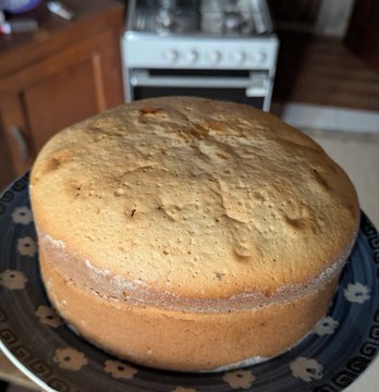 A freshly baked round golden cake or bread cooling on a decorative plate, set on a kitchen counter with a stove in the background.
