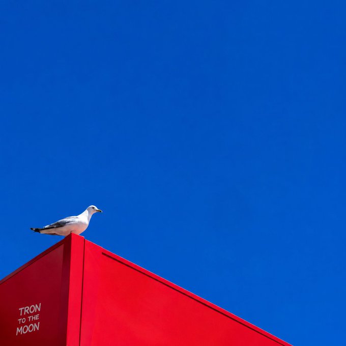 A seagull sits perched on the edge of a red structure against a clear blue sky, with text reading 'TRON TO THE MOON' on the side.