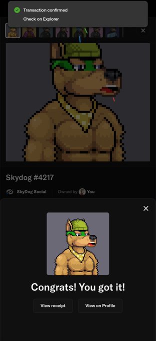 A screenshot of a digital transaction confirming the purchase of an NFT named 'Skydog #4217,' depicting a pixelated brown dog character wearing a green hat and gold chain, with a 'Congrats! You got it!' message.
