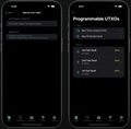 A dark screenshot of a mobile app interface displaying the heading 'Programmable LYTBOX' with toggle switch settings.