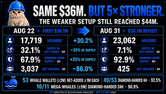 A crypto analytics infographic titled 'SAME $36M. BUT 5x STRONGER. THE WEAKER SETUP STILL REACHED $44M.' comparing holder metrics and supply distribution between August 22 and August 31, featuring a cat wearing a blue hard hat.