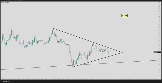 A TradingView chart of SOL (S113) on the daily timeframe shows a symmetrical triangle pattern forming near the $100 level, coinciding with the meme coin hype at triple-digit valuations. The consolidation suggests an imminent breakout that could fuel further speculative momentum.