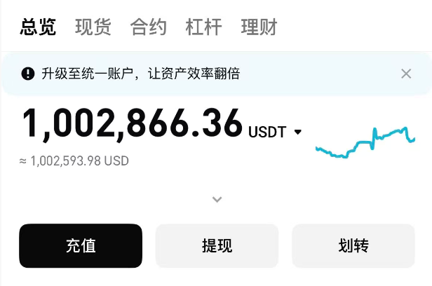 A screenshot of a cryptocurrency exchange interface in Chinese, displaying an overview tab with a total balance of 1,002,866.36 USDT (approximately 1,002,593.98 USD) and a small performance chart.