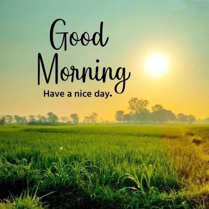 A sunrise over a green field features the text 'Good Morning / Have a nice day.'