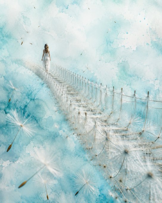 A dreamy watercolor-style illustration shows a girl in a white dress walking across a dandelion-seed suspension bridge surrounded by floating seeds against a soft blue sky.
